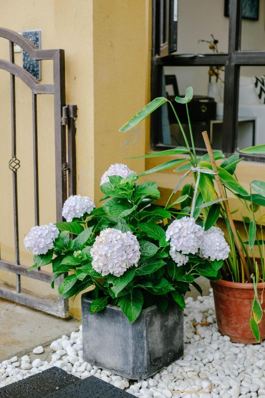 Dali Lila'S House Seaview Guesthouse Экстерьер фото